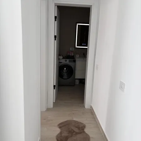 Alemar Meraki & * Năvodari