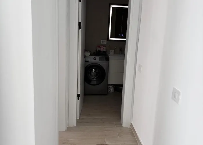 Alemar Meraki & * Năvodari